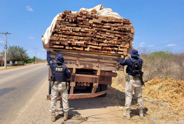 PRF apreende carga de madeira ilegal em São Raimundo Nonato