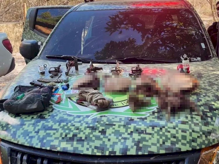 Caçadores são presos com armas e animais mortos no Parque Serra das Confusões